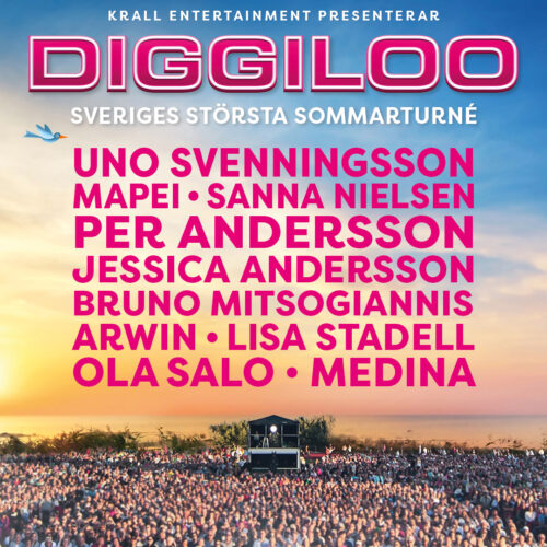 Diggiloo hotellpaket i Umeå 2025